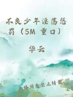 不良少年淫荡惩罚(SM 重口)小说封面 不良少年淫荡惩罚(SM 重口)