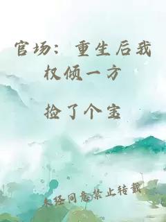 官场：重生后我权倾一方